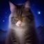 熊猫眼夜看族头像，夜间观影爱好者形象